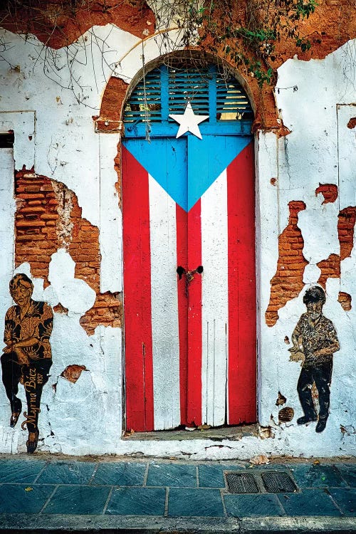 Puerto Rican Flag Door Art Print By George Oze Icanvas