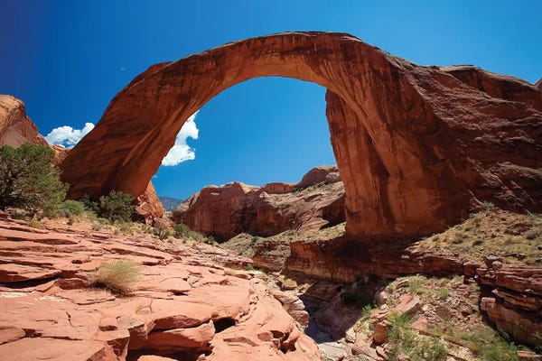 George Oze: Rainbow Bridge, Lake Powell, Utah by George Oze