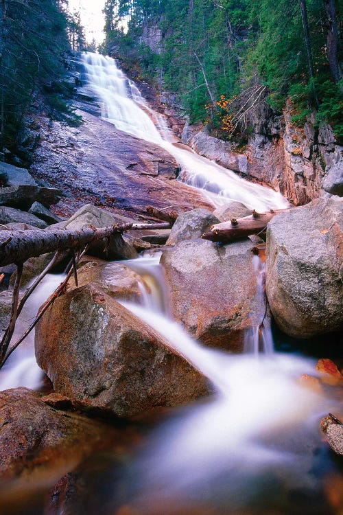 Ripley Falls, Crawford Notch, White Mountains National Forest, New Hampshire by George Oze wall art