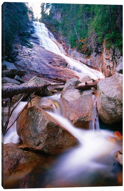 Ripley Falls, Crawford Notch, White Mountains National Forest, New Hampshire Canvas Art Print - New Hampshire