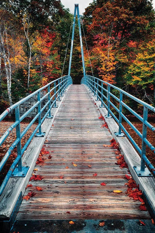 Bemis Bridge Over the Saco River, Hart's Location, New Hampshire by George Oze wall art