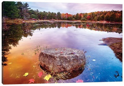 Rock with Fallen Leaves in a Pond, Acadia National Park, Mt Desert Island, Maine Canvas Art Print - Pond Art