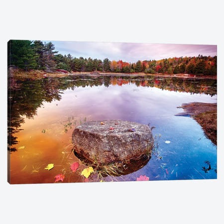 Rock with Fallen Leaves in a Pond, Acadia National Park, Mt Desert Island, Maine Canvas Print #GOZ171} by George Oze Canvas Print