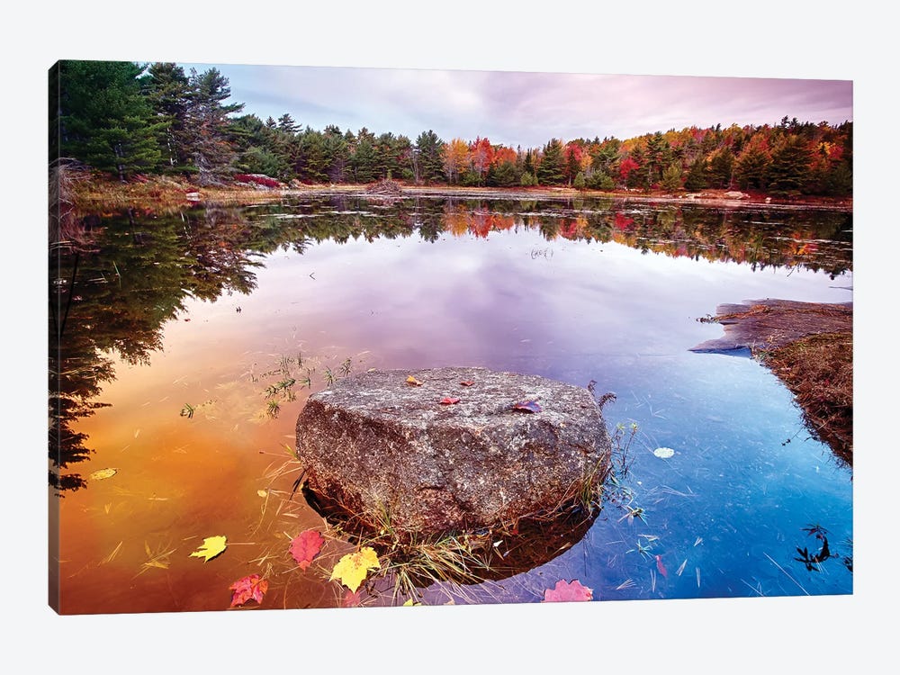Rock with Fallen Leaves in a Pond, Acadia National Park, Mt Desert Island, Maine by George Oze 1-piece Canvas Art
