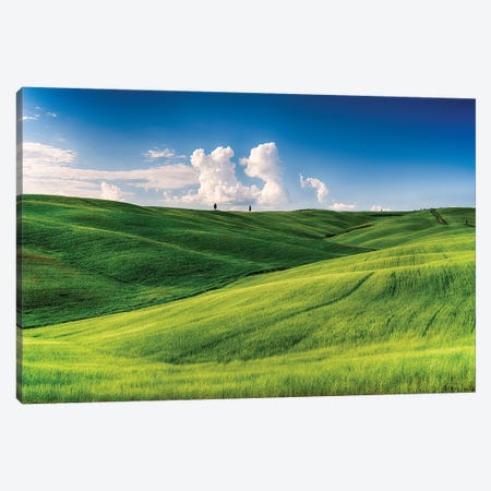 Rolling Hills with Cypress Trees and Wheat Fileds, Tuscany, Italy Canvas Print #GOZ172} by George Oze Canvas Print