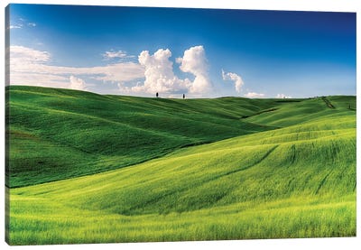 Rolling Hills with Cypress Trees and Wheat Fileds, Tuscany, Italy Canvas Art Print - George Oze