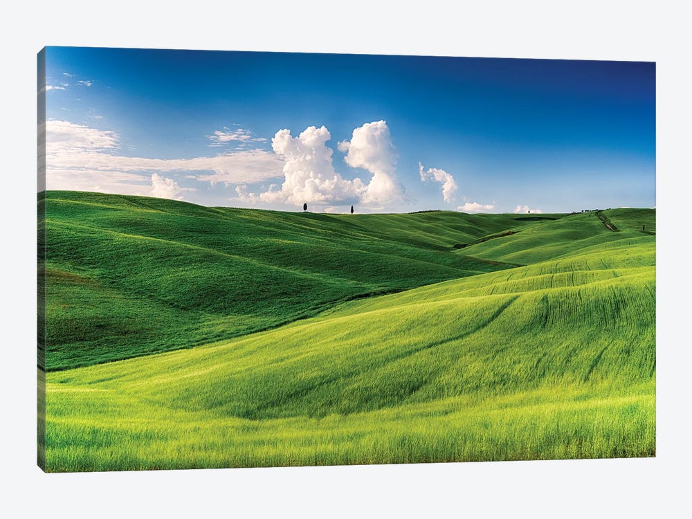 Rolling Hills with Cypress Trees and Wheat Fileds, Tuscany, Italy by George Oze 1-piece Art Print