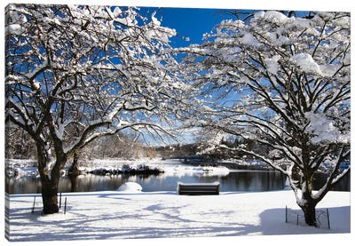 Snow Covered Trees, Winter Scenic, South Branch of Raritan River, Clinton, New Jersey Canvas Art Print - George Oze