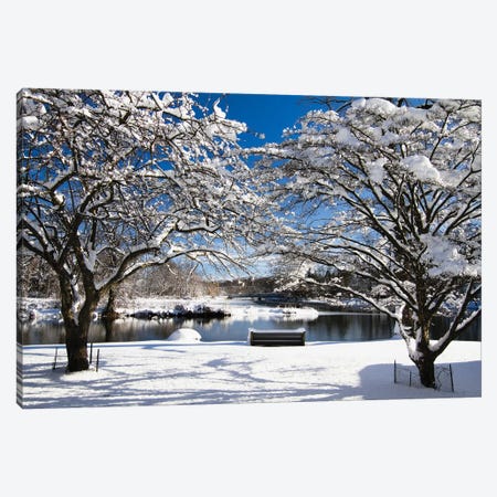 Snow Covered Trees, Winter Scenic, South Branch of Raritan River, Clinton, New Jersey Canvas Print #GOZ186} by George Oze Canvas Print