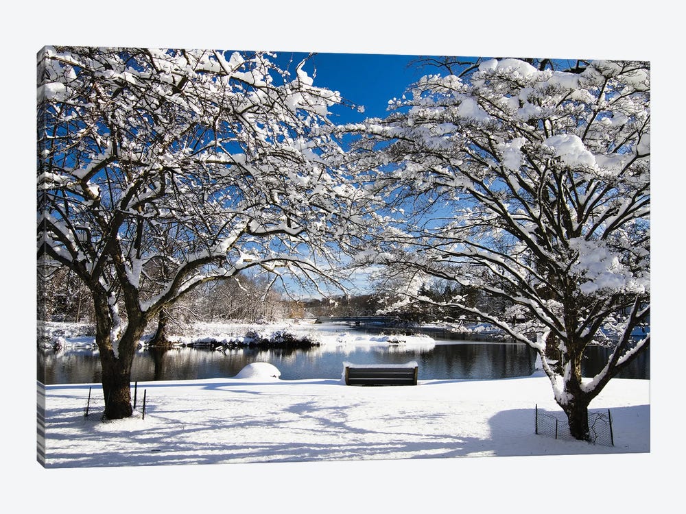 Snow Covered Trees, Winter Scenic, South Branch of Raritan River, Clinton, New Jersey by George Oze 1-piece Canvas Wall Art