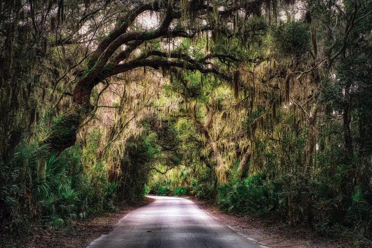 Southern Plantation Road