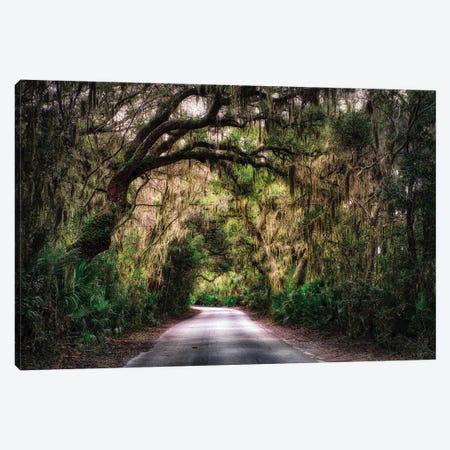 Southern Plantation Road Canvas Print #GOZ188} by George Oze Canvas Wall Art