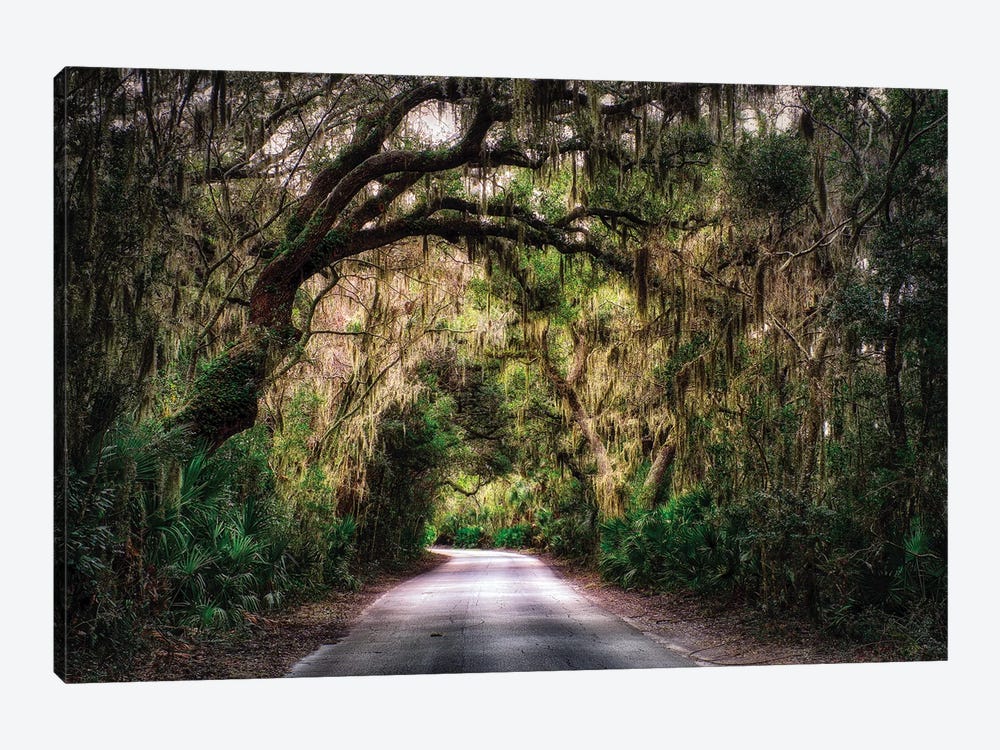 Southern Plantation Road by George Oze 1-piece Canvas Art