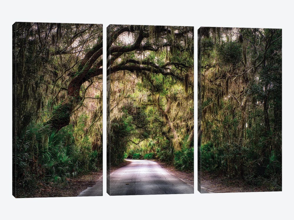 Southern Plantation Road by George Oze 3-piece Canvas Wall Art