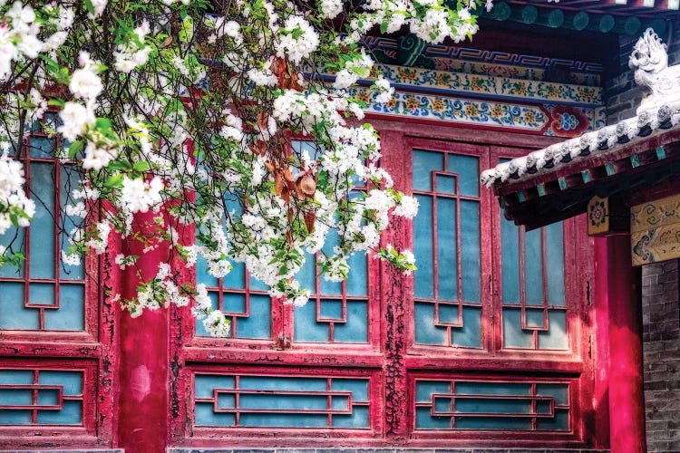 Blooming Tree in front of a traditional Chinese Building, Beilin, Xian, China