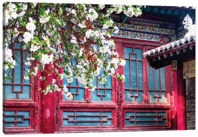 Blooming Tree in front of a traditional Chinese Building, Beilin, Xian, China Canvas Art Print - China Art