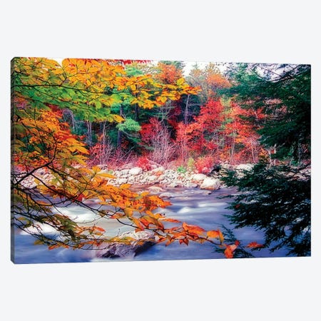 Swift River Autumn Scenic, White Mountains National Forest, New Hampshire Canvas Print #GOZ201} by George Oze Canvas Print