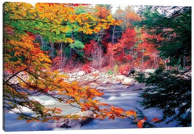 Swift River Autumn Scenic, White Mountains National Forest, New Hampshire Canvas Art Print - New Hampshire Art