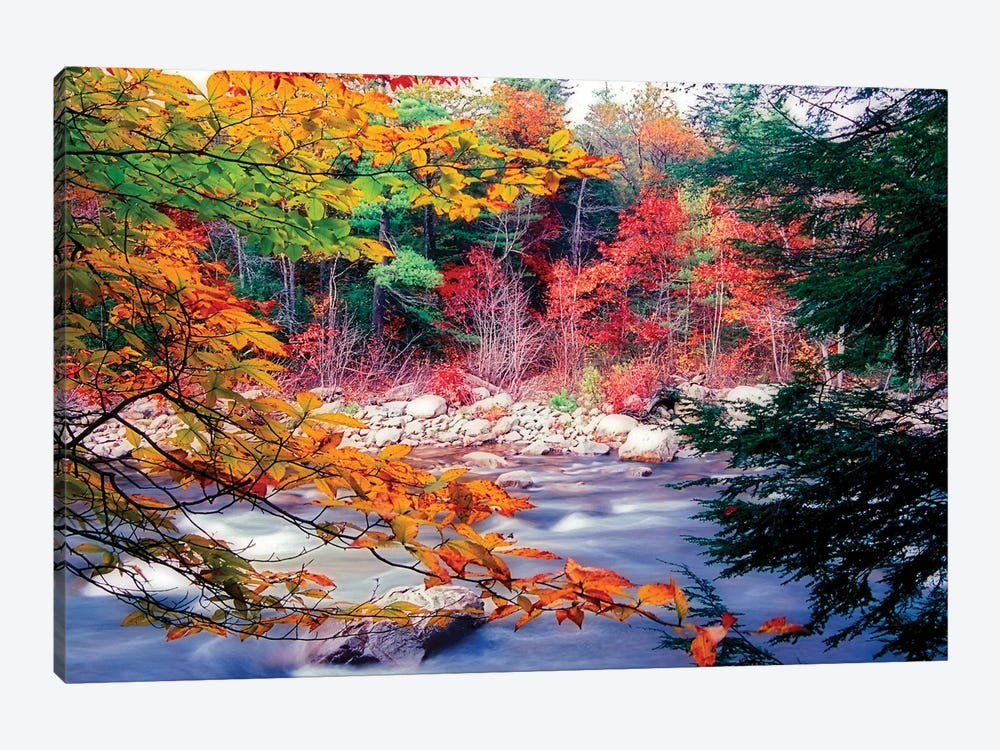 Swift River Autumn Scenic, White Mountains National Forest, New Hampshire by George Oze 1-piece Art Print