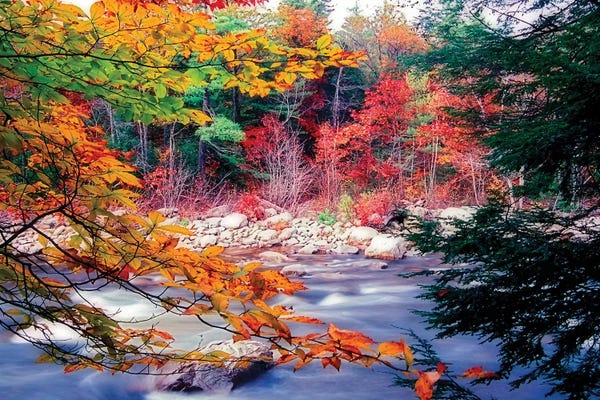 George Oze: Swift River Autumn Scenic, White Mountains National Forest, New Hampshire by George Oze