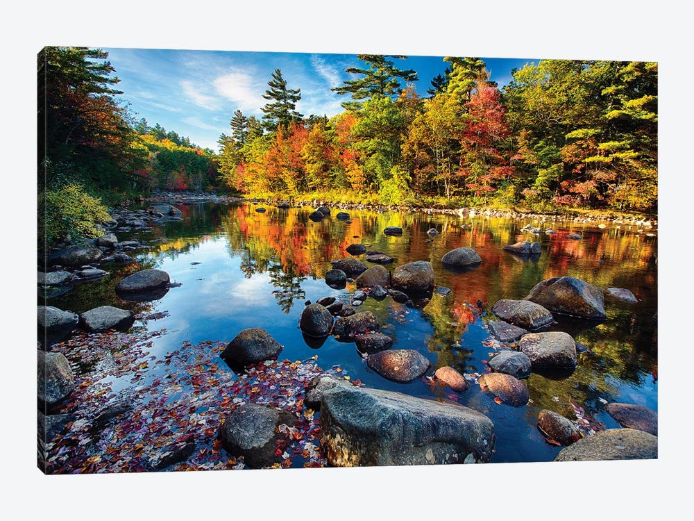 Swift River Fall Foliage Reflections by George Oze 1-piece Canvas Wall Art