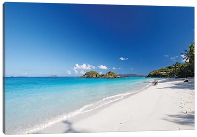 Turquoise Waters of a White Sand Beach, Trunk Bay,St John, US Virgin Islands Canvas Art Print - US Virgin Islands