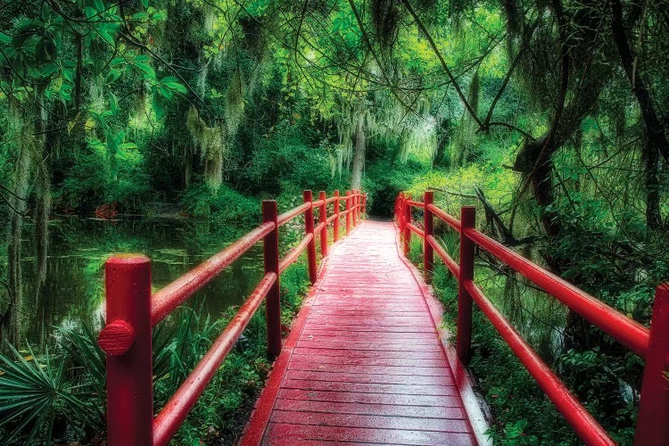 View of a Red Wooden Footbridge in a Southern Marshy Garden, Magnolia Plantation, Charleston, South Carolina