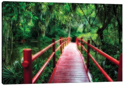 View of a Red Wooden Footbridge in a Southern Marshy Garden, Magnolia Plantation, Charleston, South Carolina Canvas Art Print - South Carolina Art