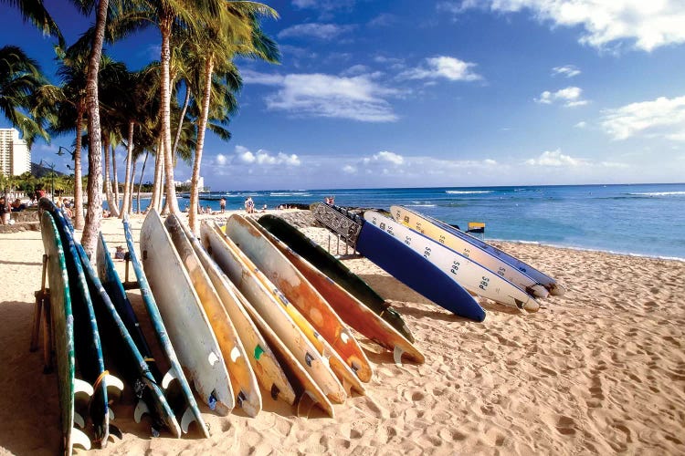 Waikiki Beach Surfboards by George Oze wall art