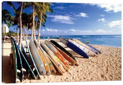 Waikiki Beach Surfboards Canvas Art Print - George Oze