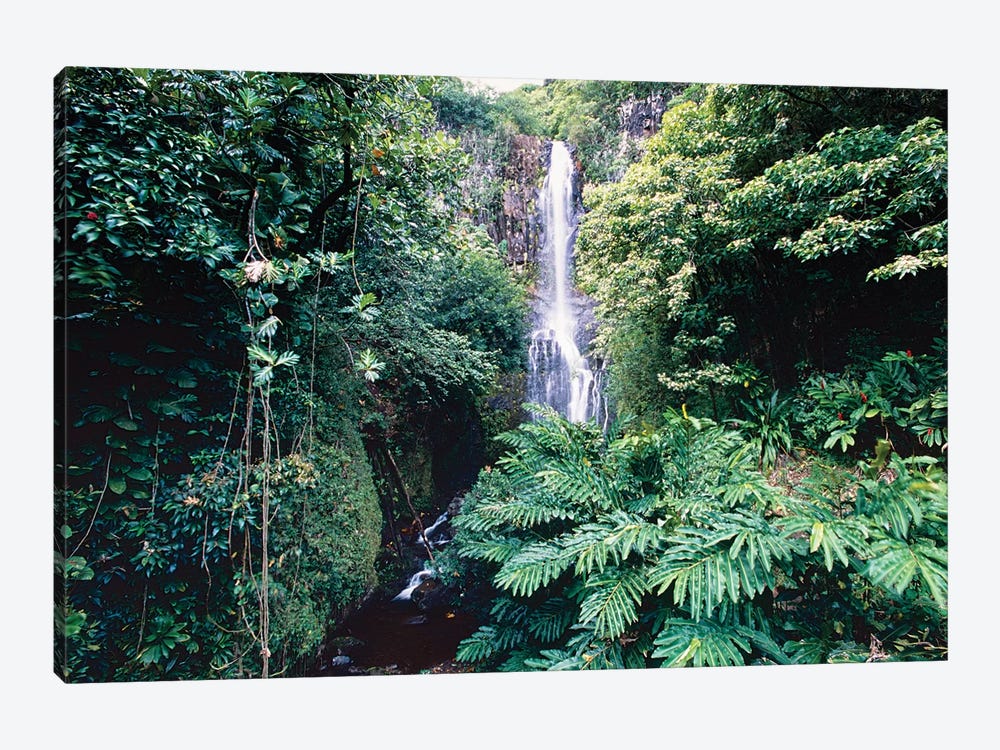 Wailua Falls on Hana Hwy, Maui, Hawaii by George Oze 1-piece Canvas Art Print