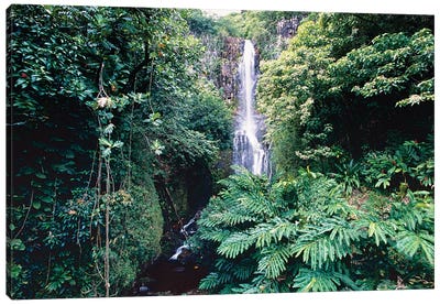 Wailua Falls on Hana Hwy, Maui, Hawaii Canvas Art Print - George Oze
