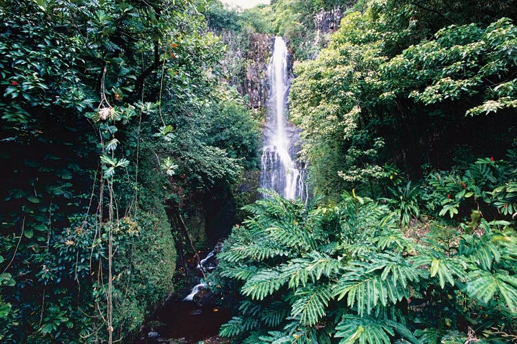 Wailua Falls on Hana Hwy, Maui, Hawaii