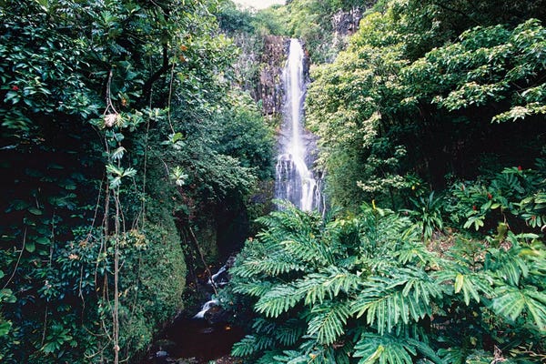 George Oze: Wailua Falls on Hana Hwy, Maui, Hawaii by George Oze