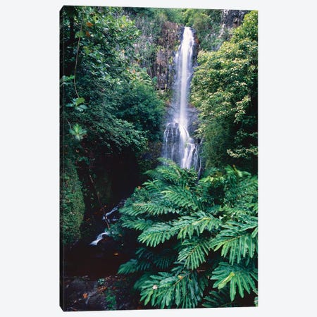 Wailua Falls on the Road To Hana, Maui, Hawaii Canvas Print #GOZ233} by George Oze Canvas Art