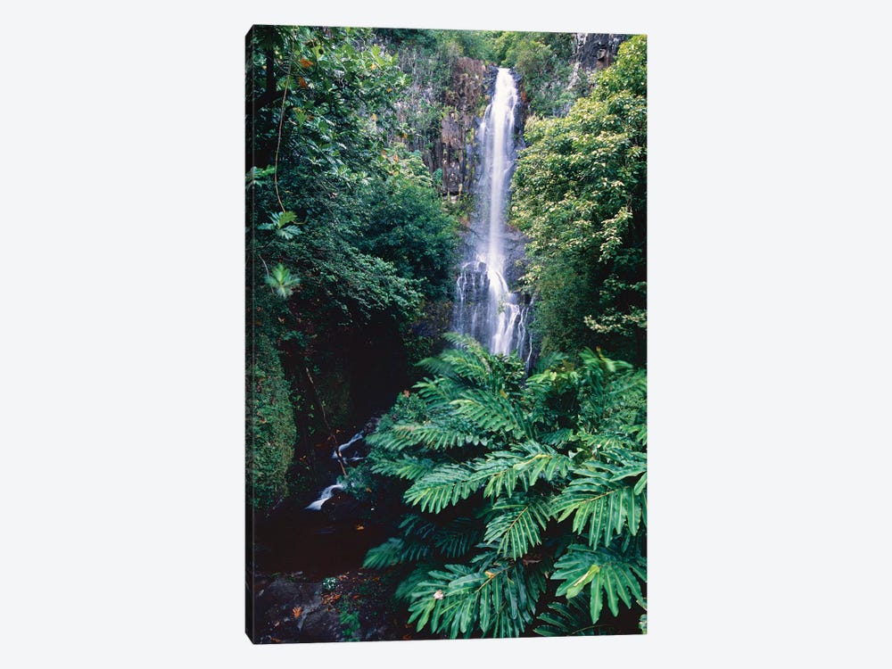 Wailua Falls on the Road To Hana, Maui, Hawaii by George Oze 1-piece Canvas Artwork