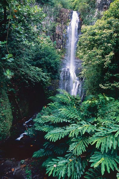 George Oze: Wailua Falls on the Road To Hana, Maui, Hawaii by George Oze