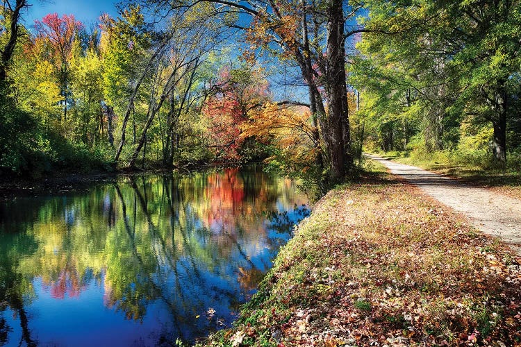 Bright Autumn Day at the D & R Canal, Princeton, New Jersey by George Oze wall art