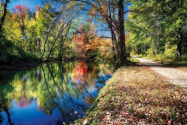 George Oze: Bright Autumn Day at the D & R Canal, Princeton, New Jersey by George Oze
