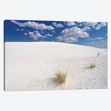 White Gypsum Sand Dunes, White Sands National Document, New Mexico Canvas Print #GOZ240} by George Oze Art Print