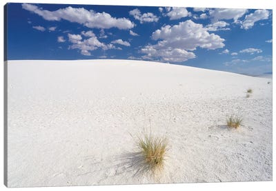 White Gypsum Sand Dunes, White Sands National Document, New Mexico Canvas Art Print - George Oze