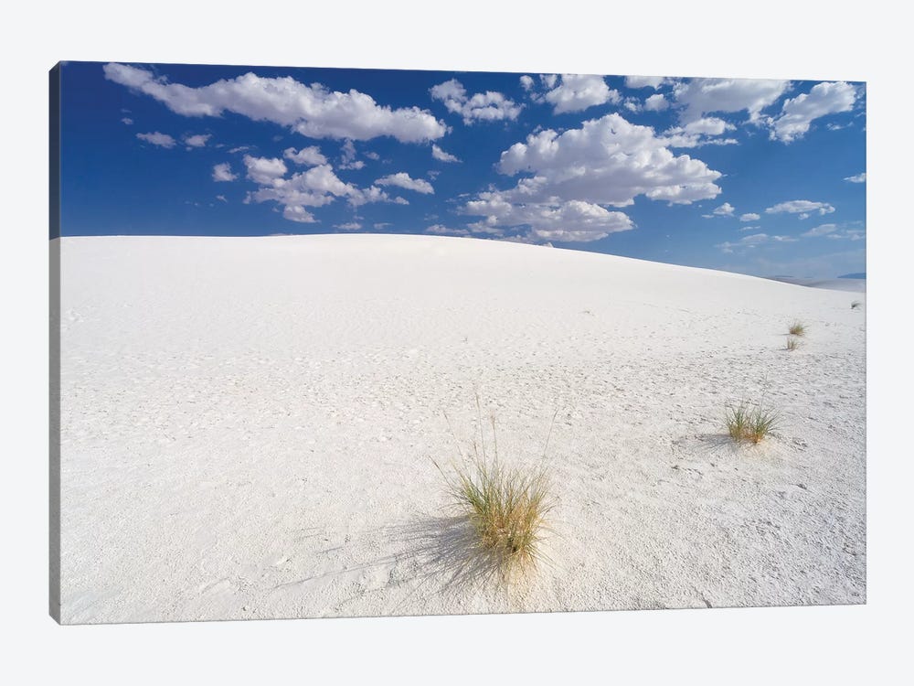 White Gypsum Sand Dunes, White Sands National Document, New Mexico by George Oze 1-piece Canvas Wall Art