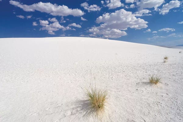 New Mexico: White Gypsum Sand Dunes, White Sands National Document, New Mexico by George Oze