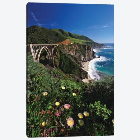 Wildflower Bloom at the Bixby Bridge, Big Sur Coast, California Canvas Print #GOZ241} by George Oze Canvas Art Print