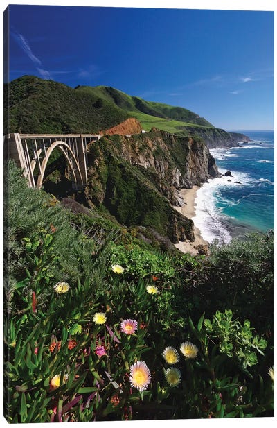 Wildflower Bloom at the Bixby Bridge, Big Sur Coast, California Canvas Art Print - George Oze