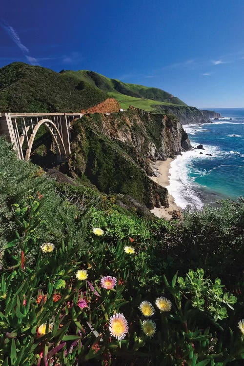 Wildflower Bloom at the Bixby Bridge, Big Sur Coast, California