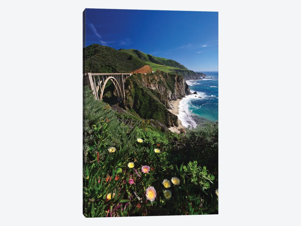 Wildflower Bloom at the Bixby Bridge, Big Sur Coast, California 1-piece Canvas Print