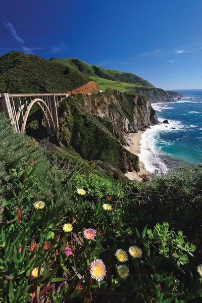 George Oze: Wildflower Bloom at the Bixby Bridge, Big Sur Coast, California by George Oze