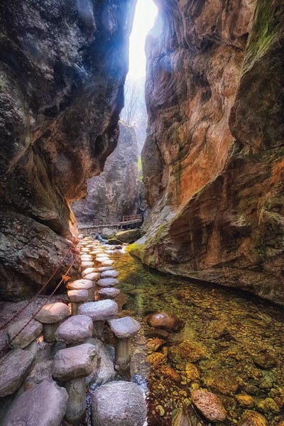Creek Trail In A Narrow Gorge by George Oze canvas print