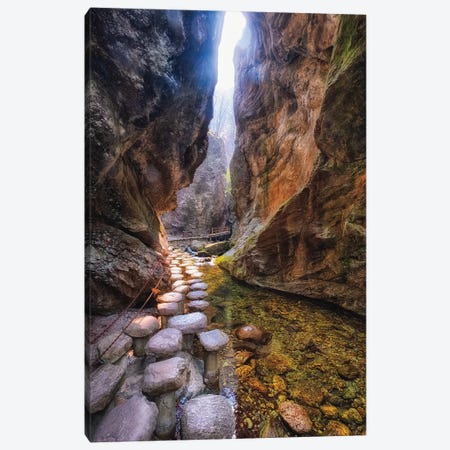 Creek Trail In A Narrow Gorge Canvas Print #GOZ257} by George Oze Canvas Print